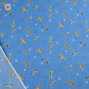 yP10{11/30zbv vg n (50cmP) 38145-4 Ƃ g{  Č Đn z  r pW} 100 Rbg nhCh