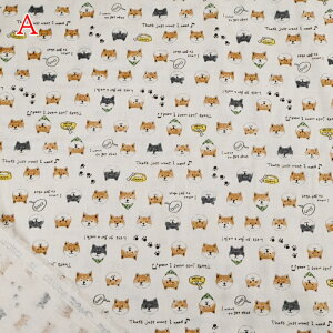 yP5{}\Ԍz_uK[[ n (50cmP) KTS6485 Č Vo Ό WK[[ K[[  z  }XN EGA pW} Rbg΂₵ nhCh