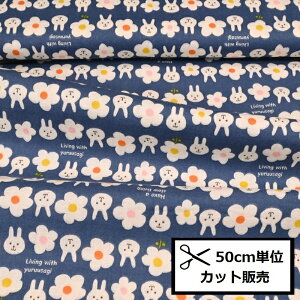 _uK[[ n (50cmP) KTS6493-C lCr[ Ƃ͂ WK[[ n K[[ z  }XN EGA pW} Rbg΂₵