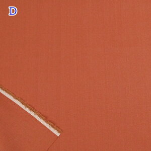 yP5{BLACK FRIDAYԌza Onؖ (50cmP) n 55000 IW  p[v  n z nhCh  ĂÂ