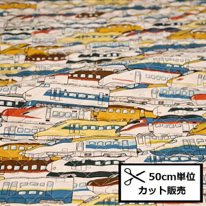 yP10{11/1_tf[zLeBO Lg n (50cmP) QAP11402-1C V 700n ₫ ܂ hN^[CG[ z w ̂ 񂩂񂹂 nhCh 背b