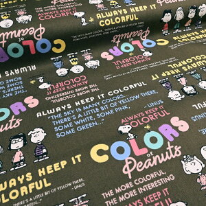 yP5{vGg[Iōő100|CgobNzPeanuts Xk[s[ IbNX n (50cmP) SNJ[YKHO 803285 z EbhXgbN `[[uE w