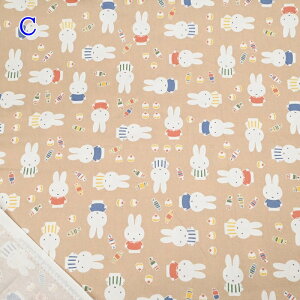 yP10{11/1_tf[z~btB[ IbNX n (50cmP) G-2023-1C x[W JbvP[L z nhCh