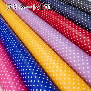 yP10{11/1_tf[z₯ ~l[g n (50cmP) LHSK960 hbg n z e[uNX obO |[` CeAG  nhCh