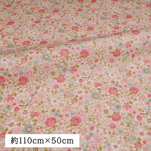 ~l[g n (50cmJbgNX)  ԕ t[ AR41872-2 z nhCh