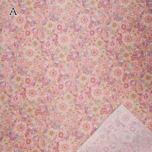 ~l[g n (50cmJbgNX) ԕ t[ AR41872-14 z nhCh