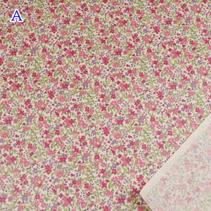 yP10{10/30z~l[gn ԕ (50cmP) KTS2704  t[ flower z nhCh