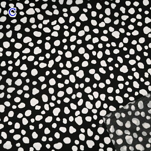 yP10{11/1_tf[ziCIbNX vg n (50cmP) 80010-2 _VA z iC  | GRobO nhCh