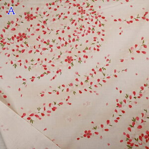 yP5{yVC[OXӍՁza TUNX (50cmP) KTS7007 ڂ앶l Rbg΂₵ a z n a aG pb`[N Jo[O obO |[` В