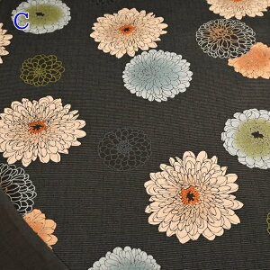 yP5{vGg[Iōő100|CgobNza TUNX (50cmP) KTS7097 Dneԕl Rbg΂₵ a z n a aG pb`[N Jo[O ob