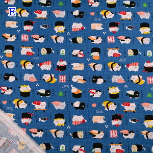 a hr[ vg n (50cmP) AP52106H-3 ˂ L lR i a a z  obO G nhCh