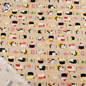 a hr[ vg n (50cmP) AP52106H-3 ˂ L lR i a a z  obO G nhCh