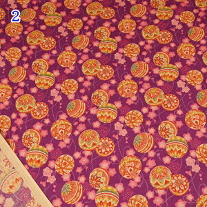 yP5{BLACK FRIDAYԌza XPA vg n (50cmP) B850498Z-1 ~ɟ{ } ܂ z a a obO  pb`[N \[CO nhCh