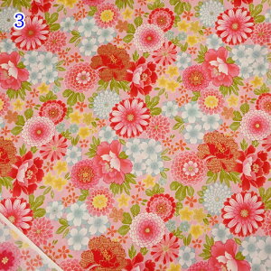 yP5{yVC[OXӍՁza XPA vg n (50cmP) B850584Z-1 ԋa ؉O z a a obO  pb`[N \[CO nhCh