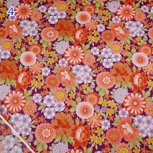 yP5{BLACK FRIDAYԌza XPA vg n (50cmP) B850584Z-1 ԋa ؉O z a a obO  pb`[N \[CO nhCh