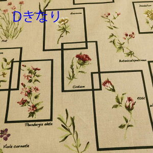 yP10{9/25zYUWA L֏X Ȗ V[eBO n (50cmP) 449754-D t[Ɖ  Li Ȃ   Rbg l ԕ t[ z pb`[N n s[X XJ[g 