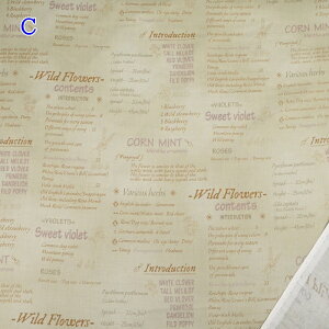 yP5{}\ԌzYUWA L֏X V[eBO n (50cmP) AK826760 p R[W HciqfUC z nhCh obO |[` CeA