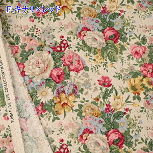 yP5{vGg[Iōő100|CgobNzYUWA L֏X Ȗ n (50cmP) 449506 AeB[Nt[ z n t[ ԕ Rbg l nhCh