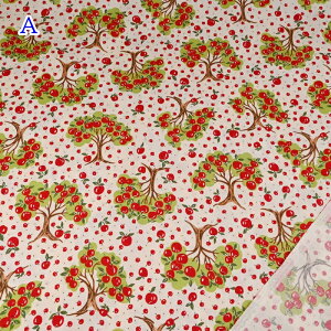 YUWA L֏X V[eBO n (50cmP) 829954 Apfel Abv  ь S z nhCh obO |[` CeA