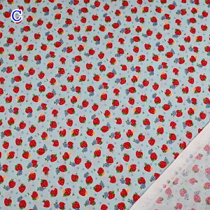 YUWA L֏X V[eBO \tg`c n (50cmP) AT829962 R֎q Cutie Berry 30's collection C`S  Xgx[ t[  z nhCh obO |[` CeA