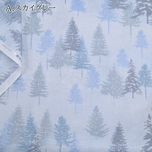 yP5{BLACK FRIDAYԌzNX}X XPA vg n (50cmP) DX10449S ~X Merry Christmas Xmas c[ Xm[ z  nhCh  ĂÂ