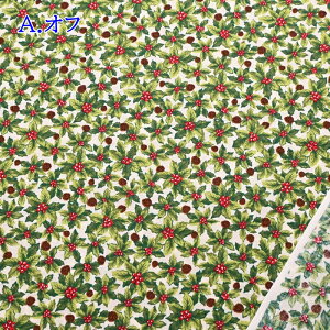 yP10{10/10zNX}X vg n (50cmP) HSK645 A qCM Ԃ ڂ Merry Christmas NX}X Xmas bh O[ nhCh