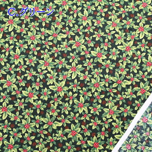 yP10{10/30zNX}X vg n (50cmP) HSK645 A qCM Ԃ ڂ Merry Christmas NX}X Xmas bh O[ nhCh