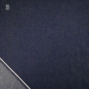 yP10{9/25z8IX fj n (50cmP) 145cm B508Z CfBS fj Rbg  s[X uEX Gv obO Xq m nhCh