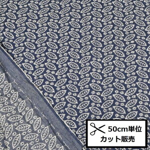 fj hJ n (50cmP) A488-B lCr[ z hイ [t obO nhCh