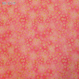 yP10{11/1_tf[z߂  (50cmP) C127   z n LL