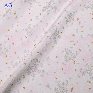 ߂  (50cmP) CET-12 x K ETM   z n LL