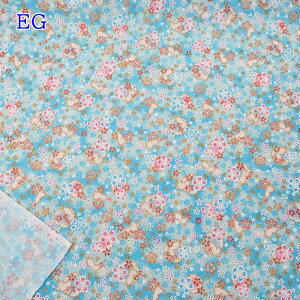 yP10{11/30z߂  (50cmP) C142 ƍ  z n LL