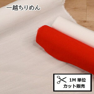 yP5{}\Ԍzz߂ n (1mP) z n [