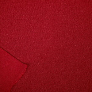 yP10{11/30z߂ n (50cmP) z n [