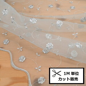 yP10{10/1_tf[zi X I[K[X hイ I[KW[ n (1mP) u[ z n hJ ߑ  fR[V uC_ EFfBO R[