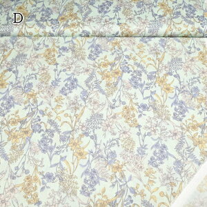 60[ I[KjbN[ vg n (50cmP) ST22-10650-2D ~gu[  t[ z Rbg  uEX `jbN nhCh