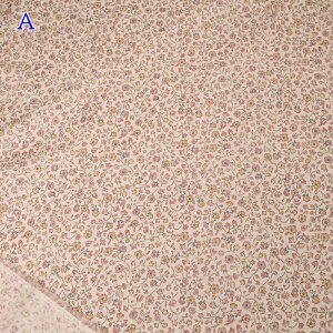 60[ vg n (50cmP) NFA-1040-41 ԕ t[  z Rbg  uEX `jbN nhCh