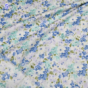 60[ vg n (50cmP) B850514Z-1 ԕ t[  NX^u[QrA z Rbg  uEX `jbN nhCh