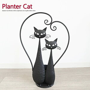 ˂̃ACA t[|bg v^[ 킢 Jo[ t[x[X X^h  lR  K[fjO CeA k G rO  _  Vv 