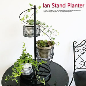 ACAX^hv^[ ԑ Jo[ t[x[X X^h  K[fjO CeA k G rO  _  EH[fR[V Vv EH[