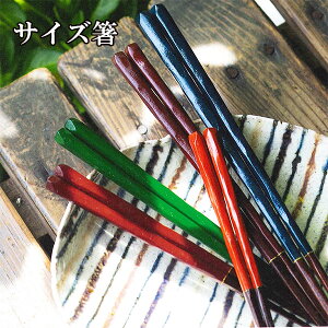  ؐ h TCY l q j  j̎q ̎q Z w w ۈ牀 23cm 21cm 18cm 16cm 15cm  ͂ ዷh { Y VR 1V ͂  킢 Mtg v