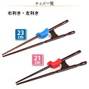 きちんと箸 矯正箸 箸使い しつけ箸 躾箸 大人用 右利き 左利き 23cm 21cm