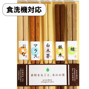 箸 5膳セット 食洗機対応 5種 木製 お箸 おはし 箸セット お箸セット おしゃれ シンプル 日本製 国産 若狭塗 楢 鉄木 白木 マラス ぶな 5本 食器洗浄機対応 ギフト プレゼント お祝い 御祝 男性