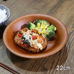 木製 パスタ皿 カレー皿 22cm パスタプレート お皿 大皿 盛り皿 プレート 軽い 軽量 おしゃれ ギフト プレゼント お祝い 御祝 男性 女性 父の日 母の日 両親 敬老の日 結婚祝い 還暦祝い 記念品