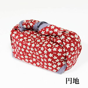 `NX C~ C~ ٓ ӂ낵 ]ˍ 50cm ~n  C 100% { Y  a l j  j̎q ̎q w w Z ٓ ٓp Mtg