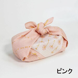 `NX C~ C~ ٓ ӂ낵 RXX 50cm sN  100% { Y  킢 l j  j̎q ̎q w w Z ٓ ٓp