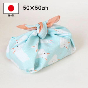 `NX C~ C~ ٓ ӂ낵  50cm 100% { Y  킢 ETM l j  j̎q ̎q w w Z ٓ ٓp