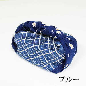 `NX C~ C~ ٓ ӂ낵 iq 50cm sN u[ C 100% { Y  a l j  j̎q ̎q w w Z ٓ ٓp 