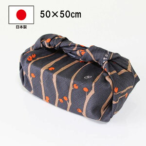`NX C~ C~ ٓ ӂ낵 EhL 50cm 100% { Y  킢  ~ l j  j̎q ̎q w w Z ٓ ٓp