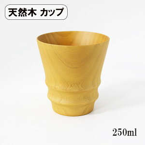 ؐ Rbv Jbv t[Jbv _fUC i` 250ml VR 蔲 X[vJbv ۂ EbhJbv  Vv y y 킢 Mtg v[g j j
